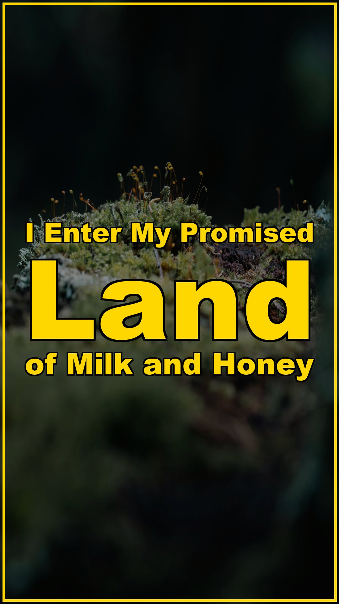 I Enter My Promised Land of Milk and Honey