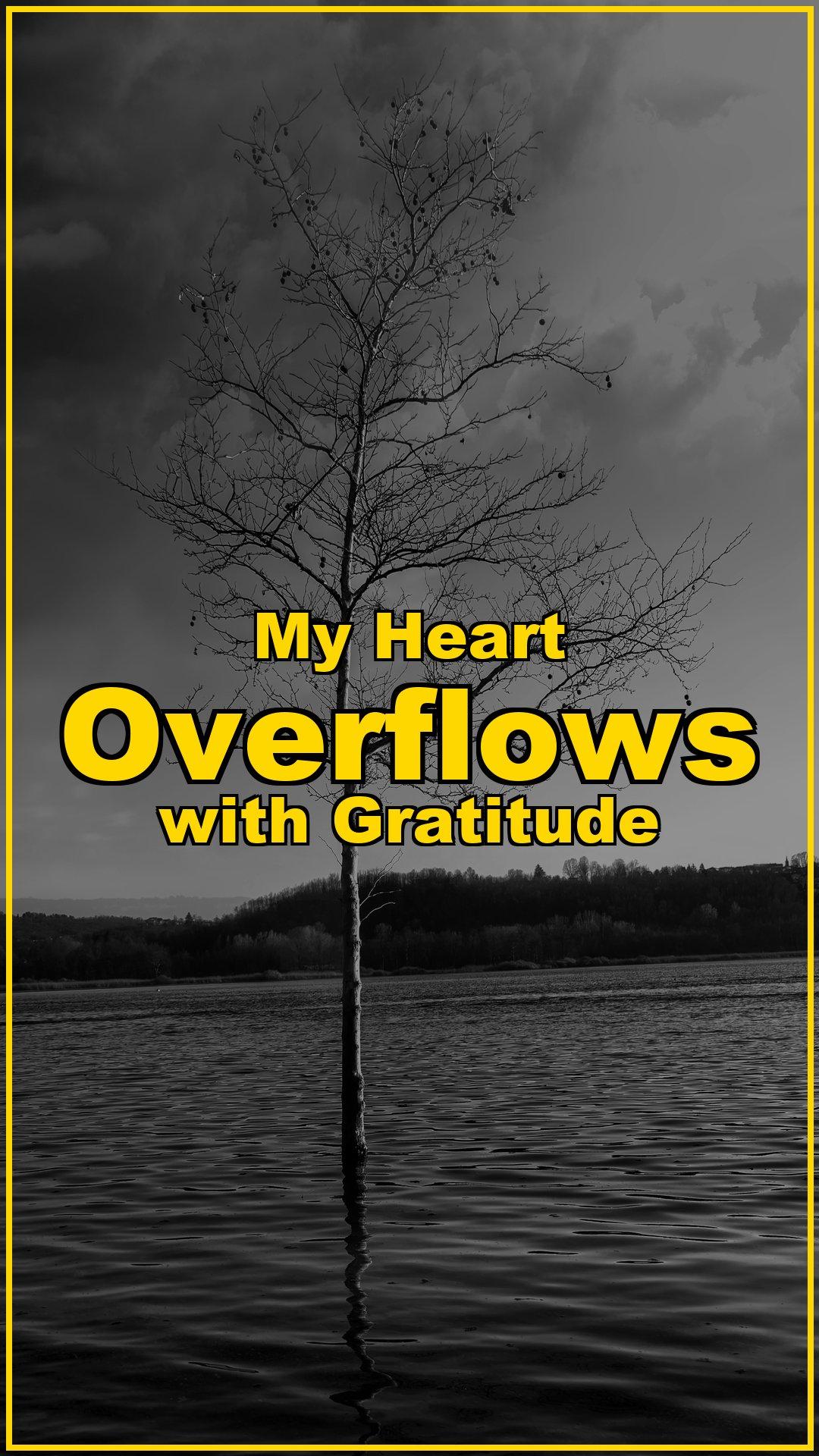 My Heart Overflows with Gratitude 🕊️